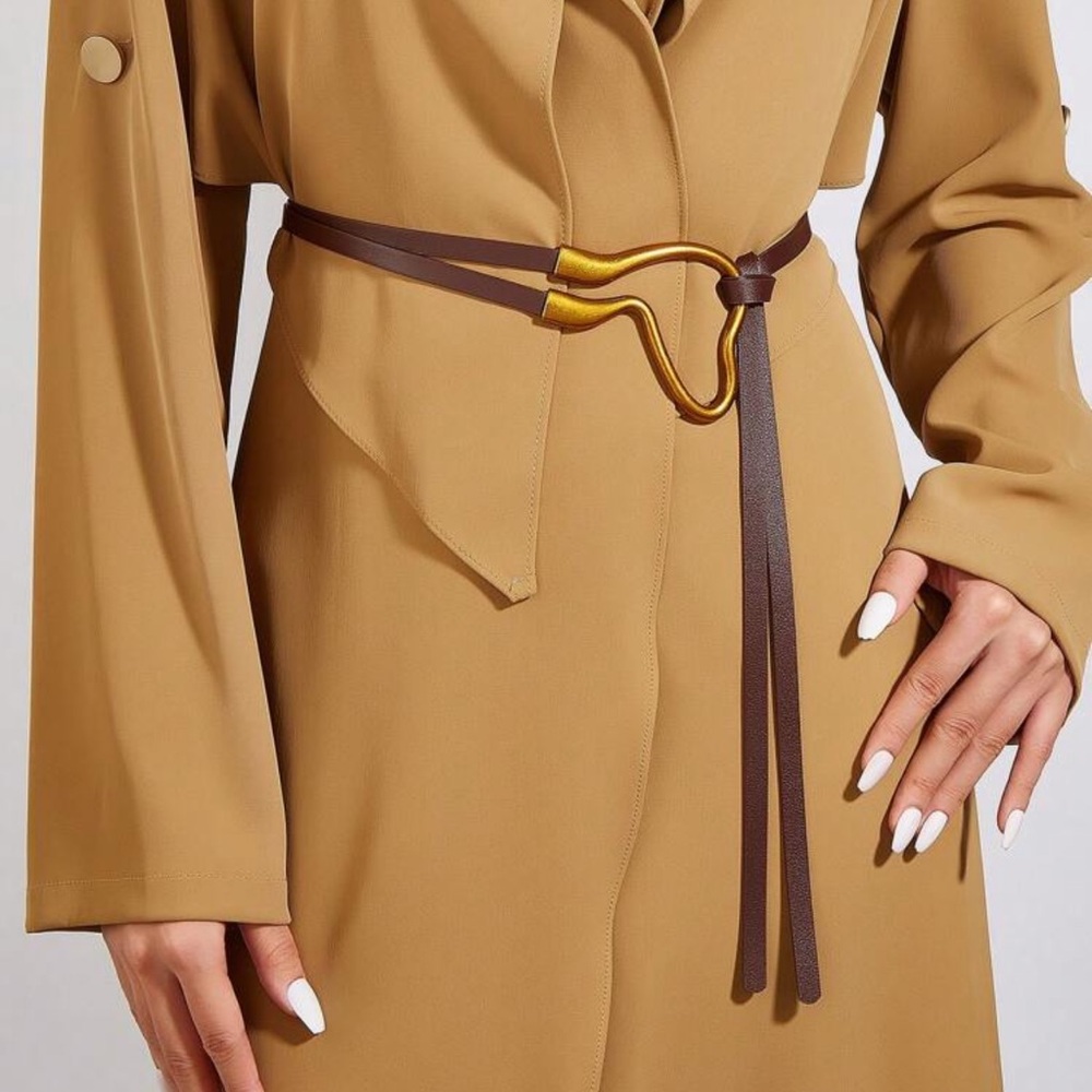 Brown and Gold Horseshoe Buckle Belt, Suitable For Dresses And Coats